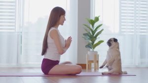 Find Your Happy Place with Puppy Yoga